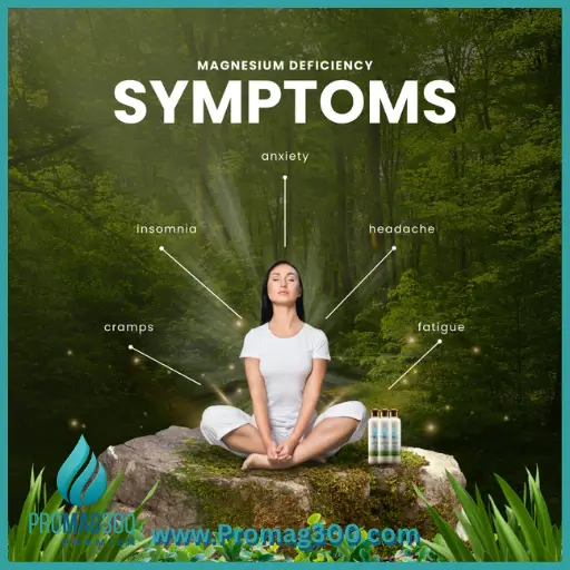 Lana 300 Magnesium Oil - Image 3