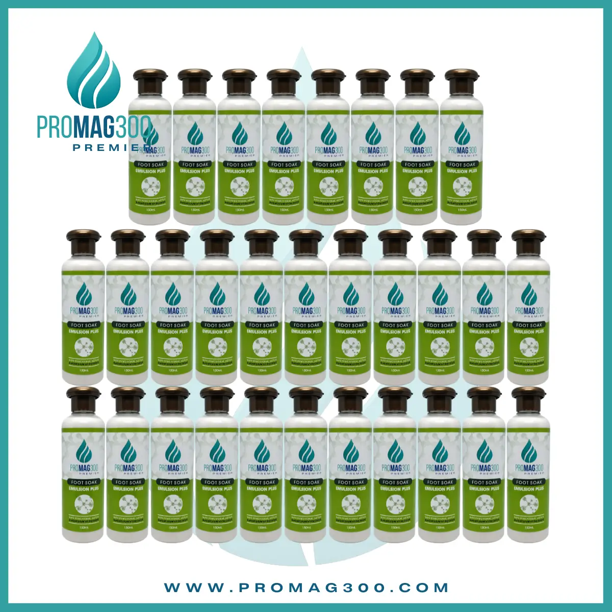 Promag 300 Premier Director Wellness Package A – Transdermal Magnesium Membership Package