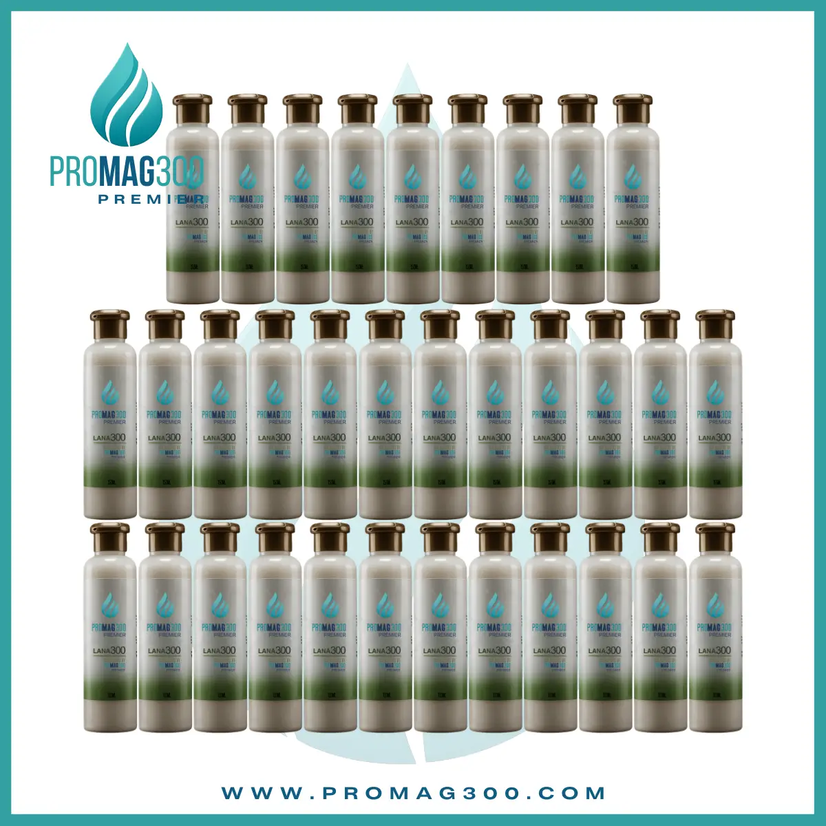 Promag 300 Premier Director Wellness Package B – Transdermal Magnesium Membership Package