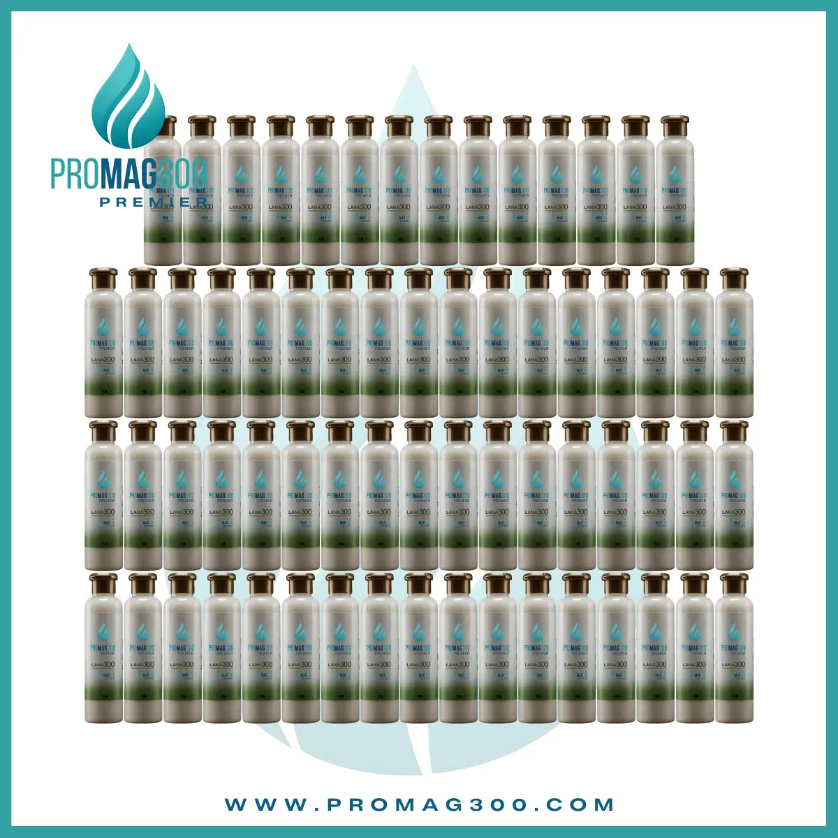Promag 300 Premier Elite Wellness Package B – Transdermal Magnesium Membership Package